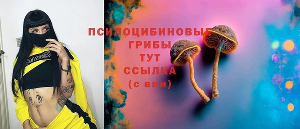 твердый Лабытнанги