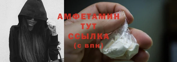 прущие грибы Краснослободск